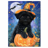 Halloween Affenpinscher Dog Canvas Wall Art with Spider Web Rustic Spooky Pet Lover Decor for Living Room on Ready to Hang 1.5" Thick Canvas Wrap, Floating Framed Canvas, Flat Rolled Canvas